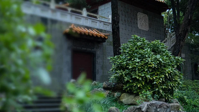 上海市肺科医院建筑与庭院